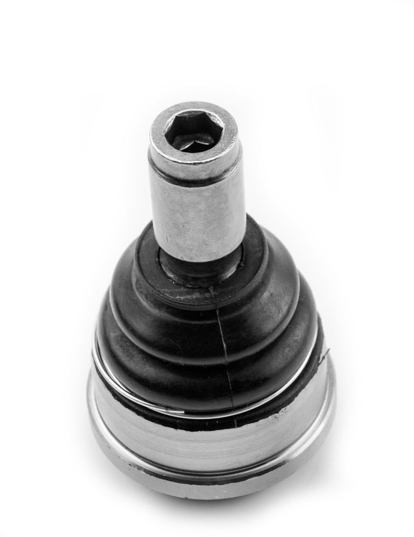 ROTULA INFERIOR