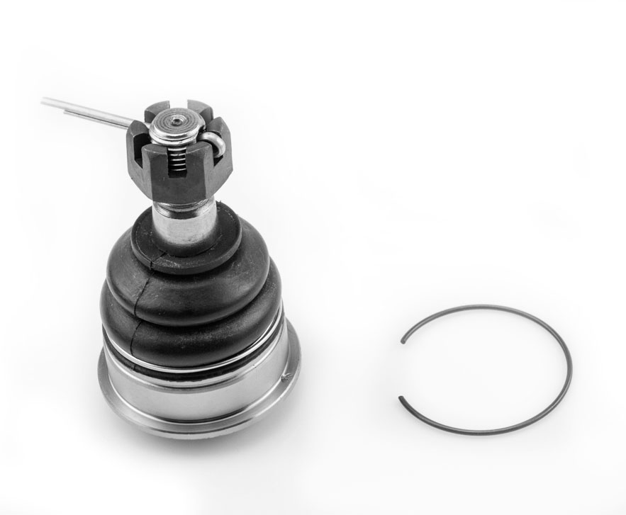 ROTULA SUPERIOR