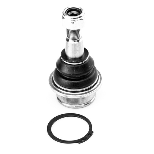 [K-6477-S] ROTULA INFERIOR
