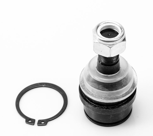 [1006005] ROTULA INFERIOR