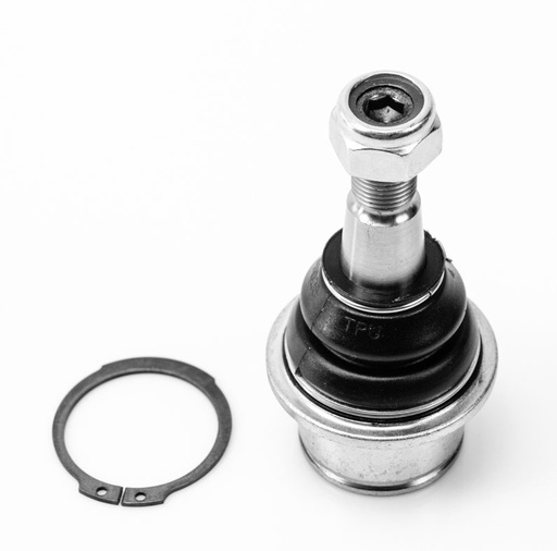 [1006020] ROTULA INFERIOR