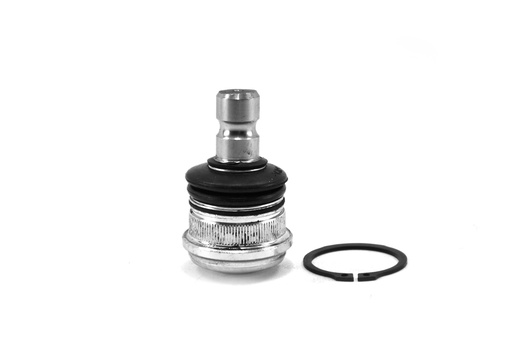 [1006030] ROTULA INFERIOR
