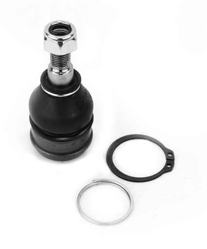 [1006032] ROTULA INFERIOR