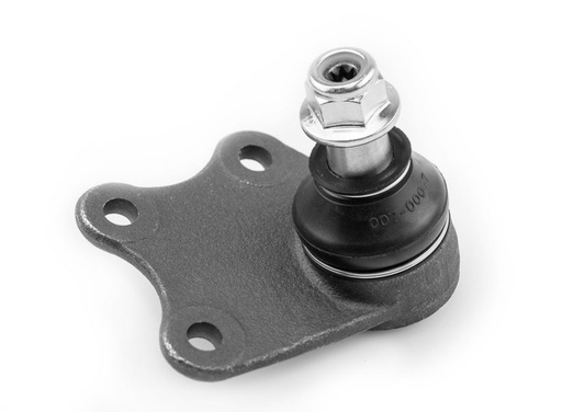 [1026010] ROTULA INFERIOR DER