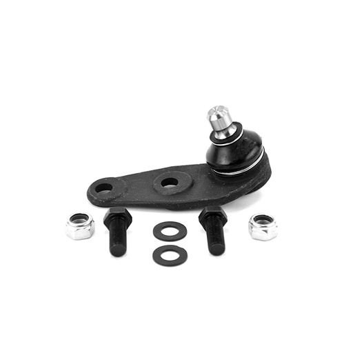 [377-407-366-BIT] ROTULA INFERIOR DER