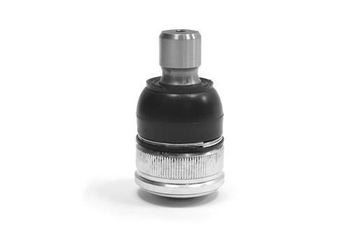 [1013001] ROTULA INFERIOR